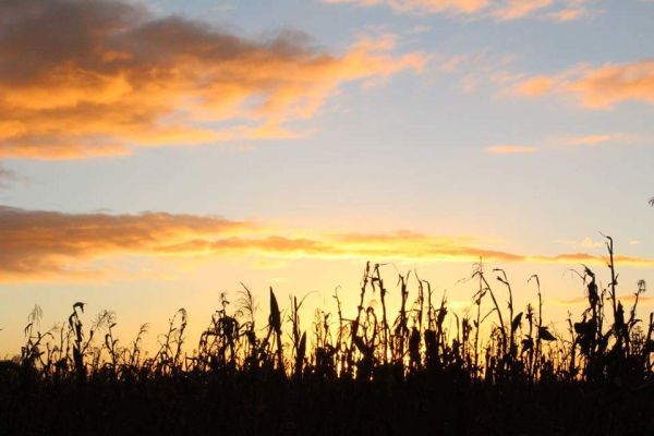 foto:Abril Ramírez Granados - lo hecho en México