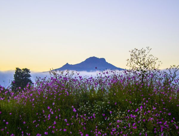foto:VICTOR RODRIGUEZ RODRIGUEZ - lo hecho en México