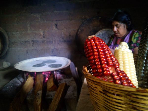foto:HUGO CESAR CANCINO  MORENO - lo hecho en México
