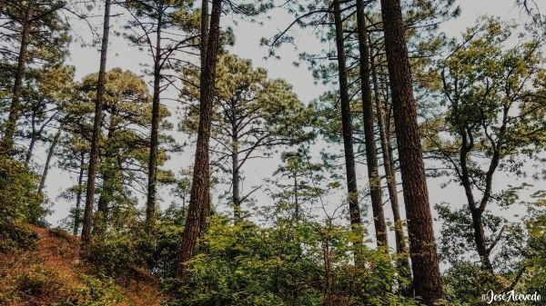 foto:José Acevedo López - lo hecho en México