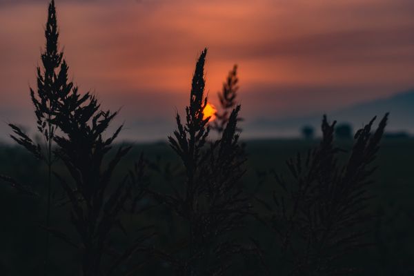 foto:Guillermo Daniel  Rios  Salinas - lo hecho en México