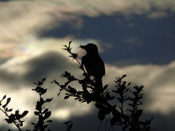 foto:Alejandro  Olvera  Ramírez  - lo hecho en México