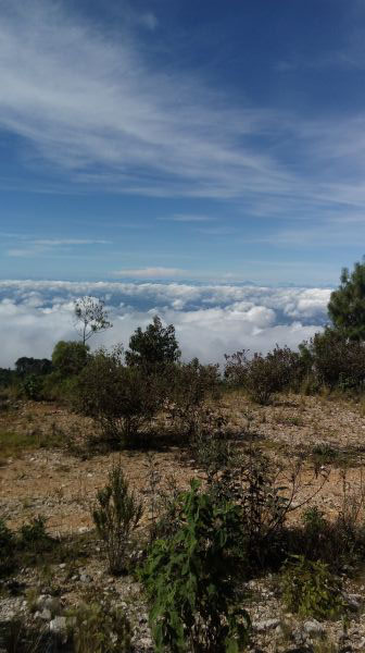 foto:Sergio ulises Perez  Morales - lo hecho en México