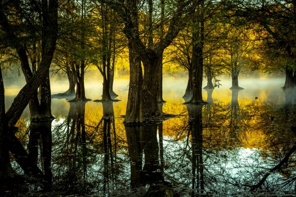 foto:Gerardo  Ayala Alipio - lo hecho en México