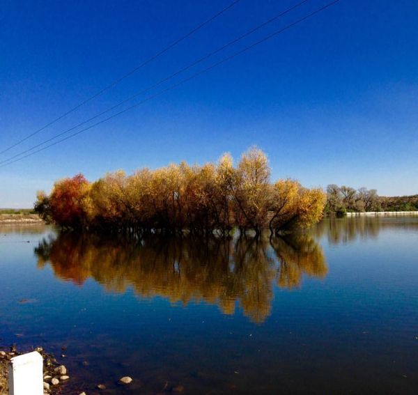 foto:manuel ivan sotelo mendez - lo hecho en México