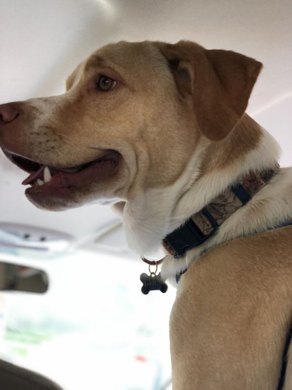 foto:Javier Agustin carlos Camacho Mondragon - lo hecho en México