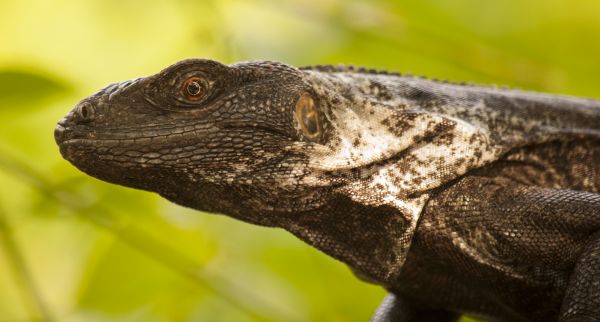 foto:Violeta Gallardo Galván - lo hecho en México