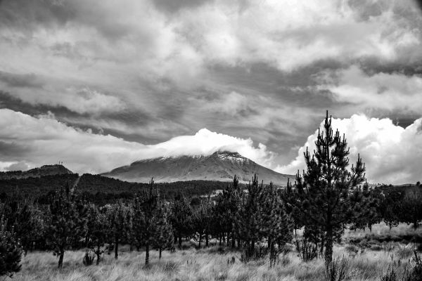 foto:Mariana Ramirez Bravo - lo hecho en México