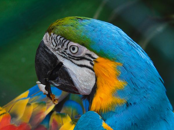 foto:Bernardo Lopez Diaz - lo hecho en México
