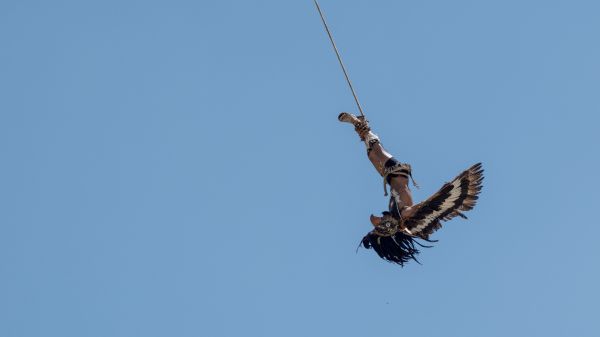 foto:Jesús Juárez Flores - lo hecho en México