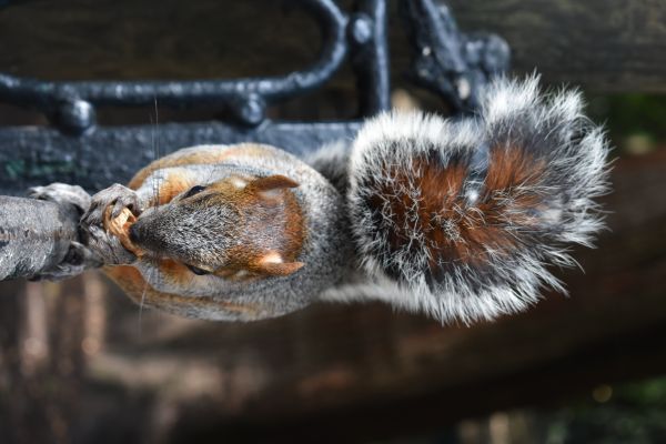 foto:Jorge Alberto Garza Solar - lo hecho en México
