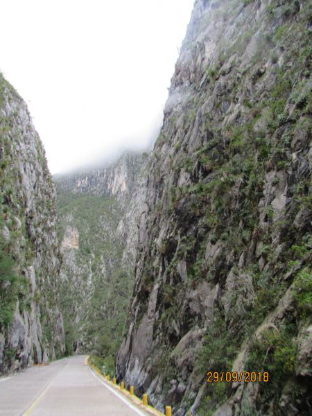 foto:MARIA LUISA ALANIS  CASAS - lo hecho en México