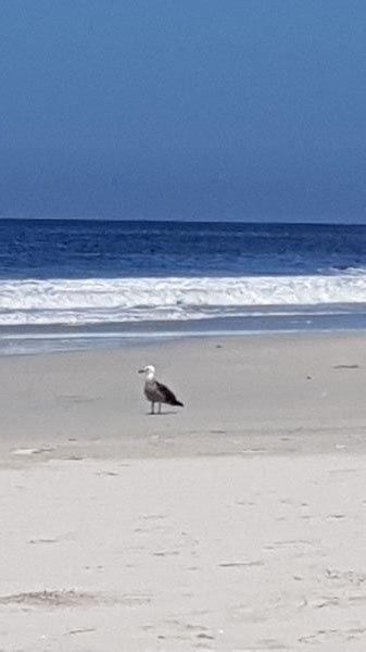 foto:Caro Estrada Placeres - lo hecho en México