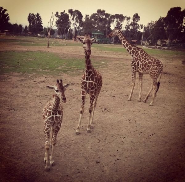 foto:Karina Imelda Montelongo Ortega - lo hecho en México