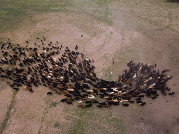 foto:Eduardo Rodriguez Urquidi - lo hecho en México