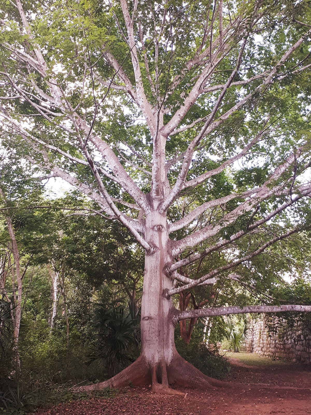 foto:María de Lourdes  Castilla Gamboa - lo hecho en México