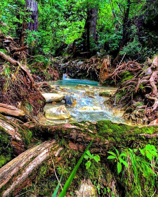 foto:Ana Laura López García - lo hecho en México