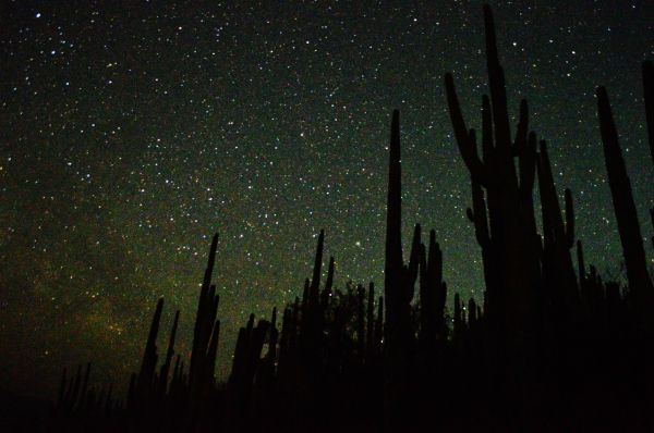 foto:Arturo Cruz Mendoza - lo hecho en México