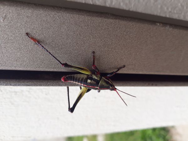 foto:Jennifer Vanegas Medina - lo hecho en México