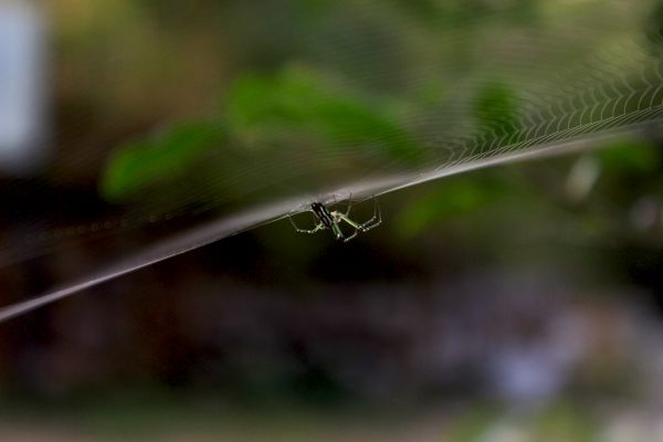 foto:Elsa Lara Nuño - lo hecho en México