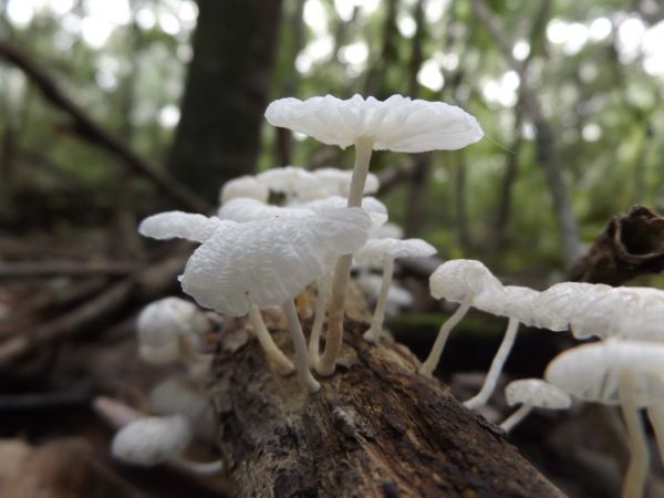 foto:Miguel Álvaro Méndez - lo hecho en México