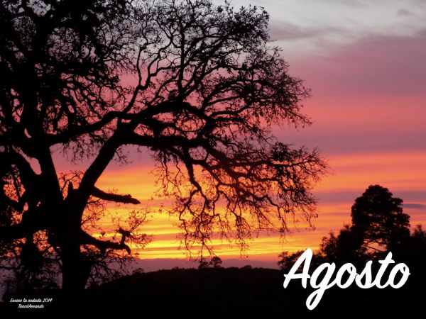 foto:Gerardo Mora Mora - lo hecho en México