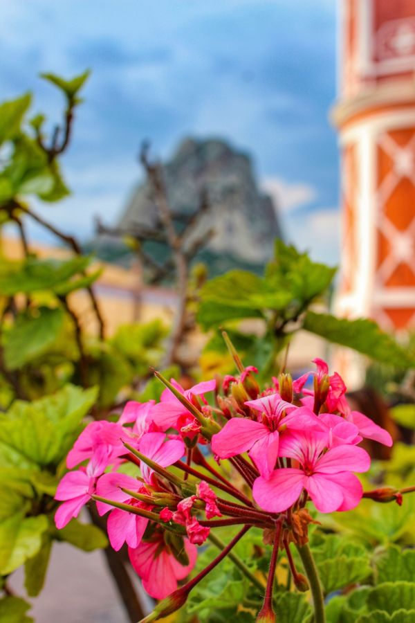 foto:Daneli Urzúa Pérez - lo hecho en México