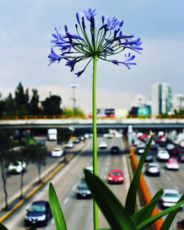foto:Julio  López  Barona - lo hecho en México