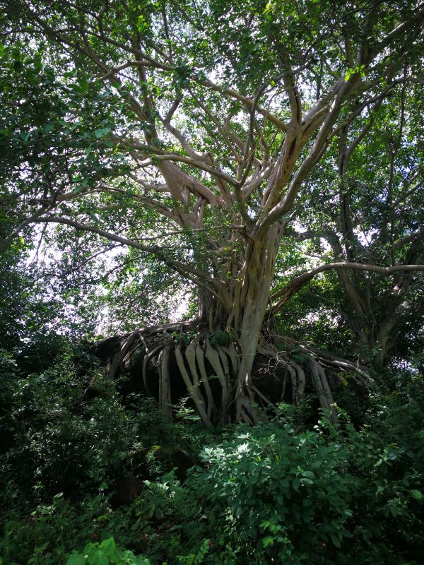 foto:Xochitl Vianney Montoya Perez - lo hecho en México