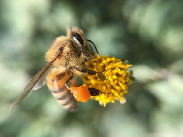 foto:Juan Manuel Albino Hernández - lo hecho en México