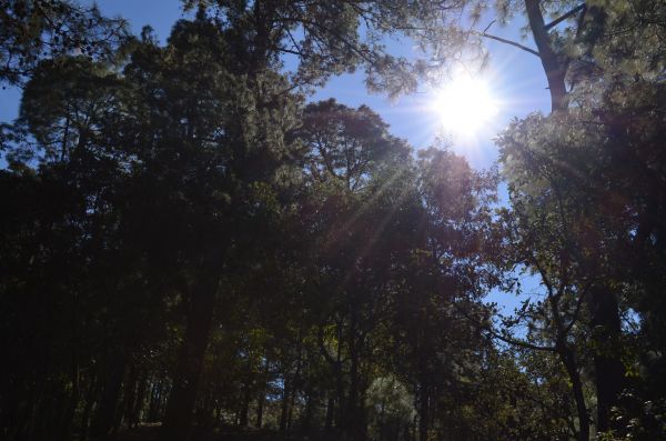 foto:Doranne  Lopez Pacheco - lo hecho en México