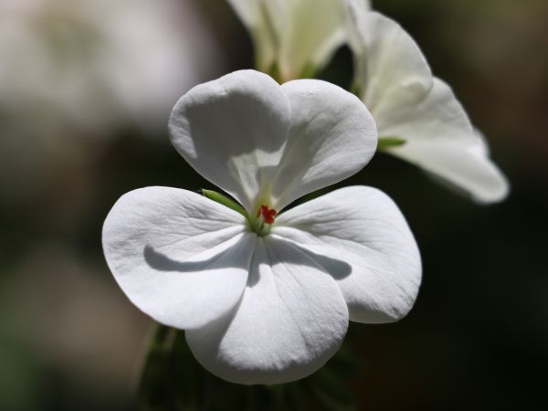 foto:JORGE VARGAS GARCIA - lo hecho en México
