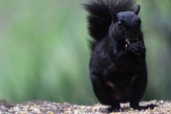 foto:Mauricio Ibarra  Durán - lo hecho en México
