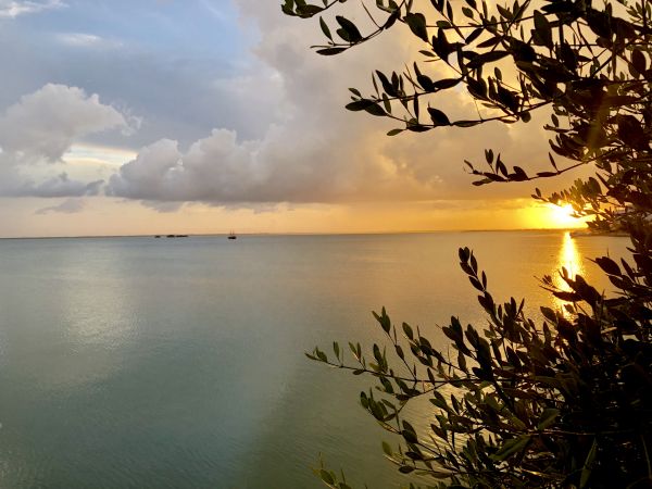 foto:Diana Bracamontes  Alday  - lo hecho en México