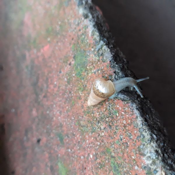 foto:Nitza Vanegas Medina - lo hecho en México