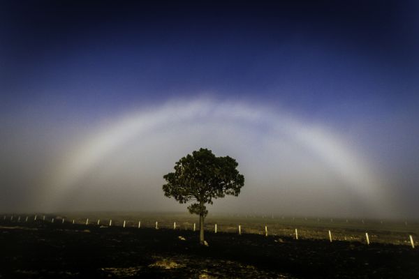 foto:Alberto  Delgado  Fabián  - lo hecho en México