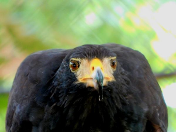 foto:Ximena  Silva  Castrejón - lo hecho en México