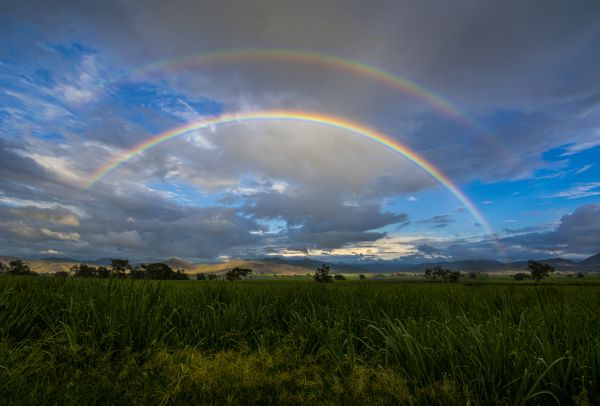 foto:Jorge Arturo Murguía Covarrubias - lo hecho en México