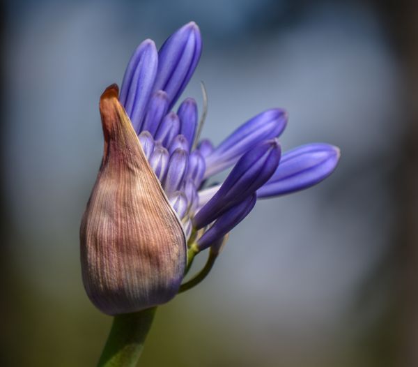 foto:Arántzazu Echeverría Alvarez - lo hecho en México