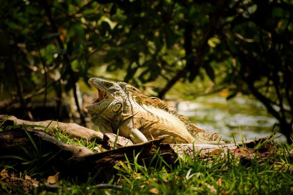 foto:Georgina Eloísa  Saavedra Cuellar - lo hecho en México