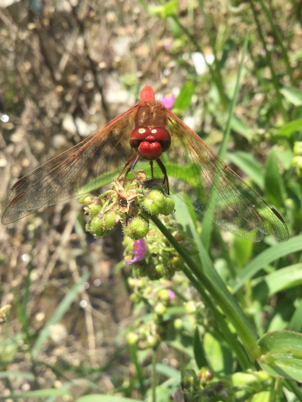 foto:Francisco Juarez Mora - lo hecho en México