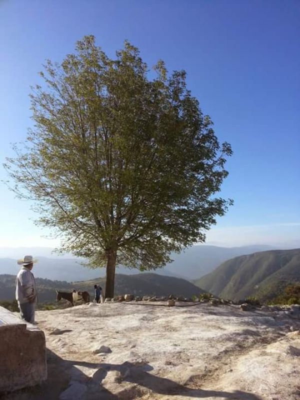 foto:Felipe Antonio Lopez  Lopez - lo hecho en México