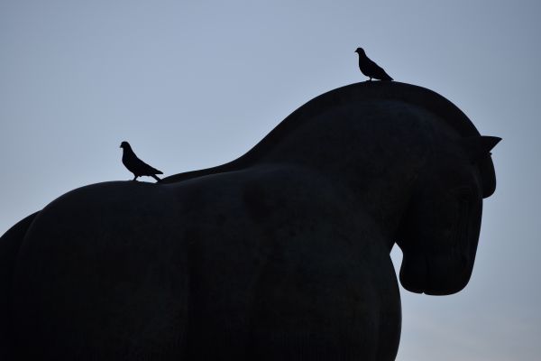 foto:Michelle  Aguiñaga Ruíz - lo hecho en México