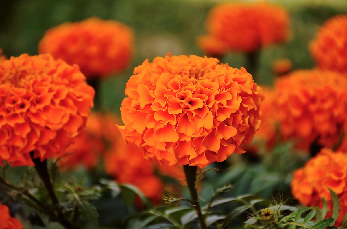 foto:Sofía  Fernández Pedro - lo hecho en México