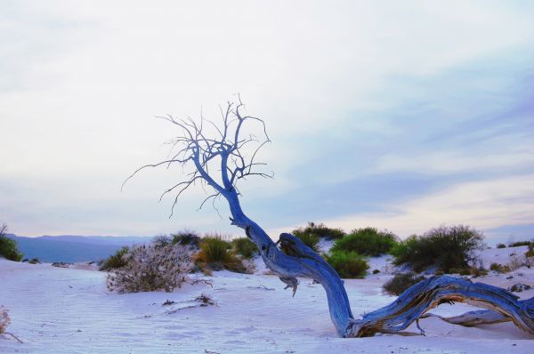 foto:Itzel Estefanía Flores Martínez - lo hecho en México