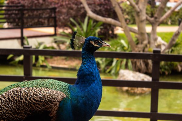 foto:Roberto Castro Hernández - lo hecho en México