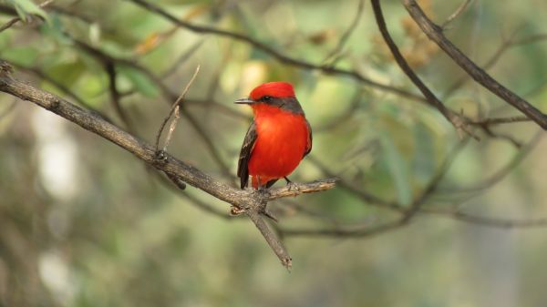 foto:Martha Patricia Rodriguez Carrera - lo hecho en México