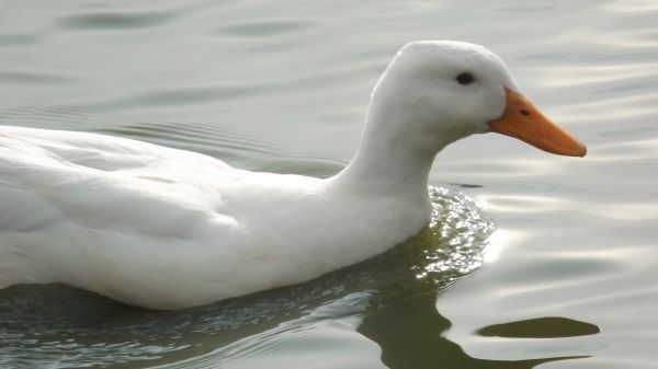 foto:Leonardo Ramos Gutiérrez - lo hecho en México