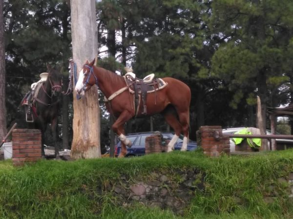 foto:Emiliano Rodríguez  Martinez  - lo hecho en México