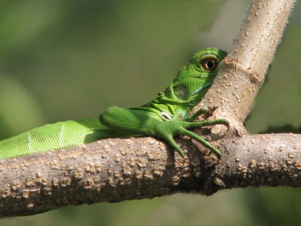 foto:JULIAN  SANCHEZ  MORALES - lo hecho en México